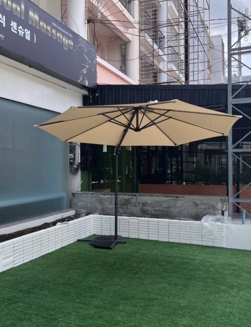 파타야 물집 드래곤