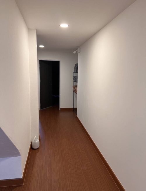 파타야 물집 드래곤