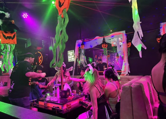 플레이걸즈 아고고24